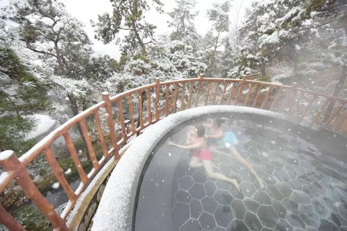 蒙山旅游度假區(qū)圓滿(mǎn)收官，累計(jì)接待游客26.07萬(wàn)人次，實(shí)現(xiàn)旅游綜合收入1060.29萬(wàn)元