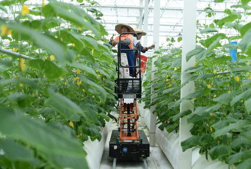 新華網(wǎng)長(zhǎng)三角頻道 解碼旅游業(yè)務(wù)新生態(tài)，賦能區(qū)域文旅高質(zhì)量發(fā)展